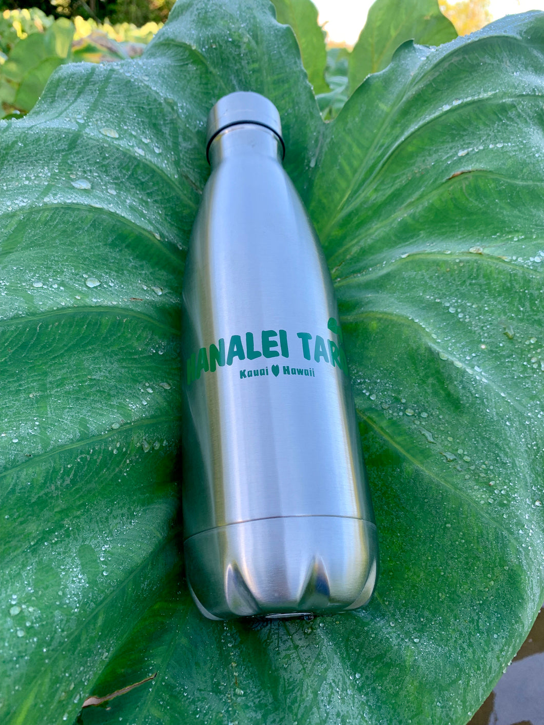 Hanalei Taro Insulated Bottle
