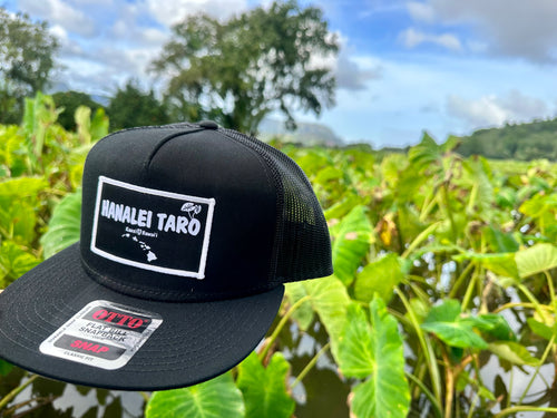 Hanalei Taro Patch Hawaiian Islands Logo SnapBack Hat - Black