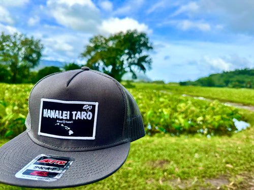 Hanalei Taro Patch Hawaiian Islands Hat- Gray Mesh Snapback