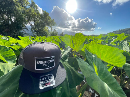 Hanalei Taro Patch & Hawaiian Islands Logo SnapBack Hat-Gray Trucker, Black Bill